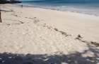 Land at Diani - 10