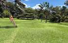 26 ac Land in Karen - 6