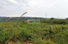 6.2 ac Land in Kisumu - 1