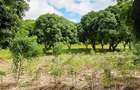 Land at Mtwapa - 14