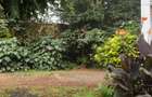 Residential Land in Kitisuru - 5