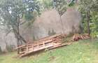 5 Bed Townhouse with En Suite at Kibiko - 13