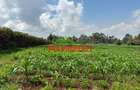0.4 ha Land at Tilisi - 9