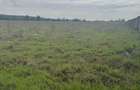 10 ac Land at Karen Plains - 2