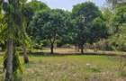 6 ac Land at Mtwapa - 6
