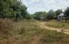 Land in Kilifi - 10
