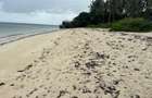 2.7 ac Land at Kikambala Beach - 6