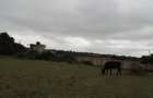 2 ac Land in Ongata Rongai - 12