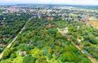 0.25 m² Land at Boribo Road - 6