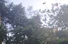 Land in Lavington - 3