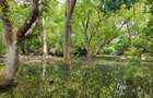 7 ac Land in Watamu - 5