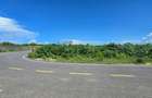 1,000 m² Land at Vipingo - 14