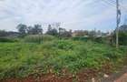 0.365 ac Land at Mushroom Road - 5