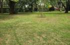 4 Bed House with En Suite at Karen - 3