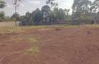 Residential Land in Runda - 7