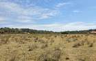 Land at Matasia - 6