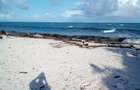 8 ac Commercial Land at Jacaranda - 3