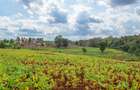 0.25 ac Residential Land at Njathaini Road - 7