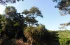 Residential Land in Karen Hardy - 3