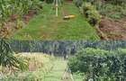 Commercial Land at Brookside - 1