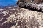 Land at Funzi Island - 4