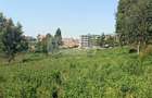 4,047 m² Land in Kikuyu Town - 1