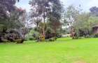 4.1 ac Land in Rosslyn - 6