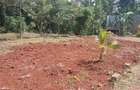 0.25 ac Land at Ruaka - 1