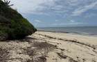 Land at Mtwapa Beach - 10
