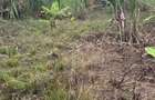 15 ac Land at Thika Road - 3