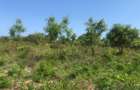3.1 ac Land at Off Diani Link Rd - 3