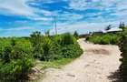 Land at Watamu - 4