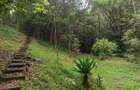 4 Bed Townhouse with Staff Quarters in Muthaiga - 9
