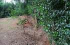 0.5 ac Land at Ololua - 8