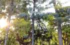 0.0113 ac Residential Land in Ngong - 4