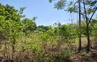 1,000 m² Residential Land at Mvindeni - 3