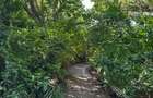 Land at Mtwpa Creek Aloo Drive - 11