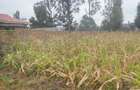0.10 ha Land at Olkeri - 3