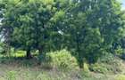 8,093.72 m² Land at Diani 3Rd Row Beach - 7