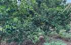 8,093.72 m² Land at Mtwapa - Mtepeni - 7