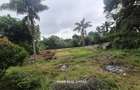 0.5 ac Land in Gigiri - 4
