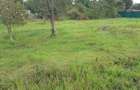 Residential Land at Karen Dagoreti Road - 1