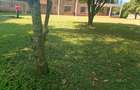 4 Bed Townhouse with Staff Quarters at Miotoni Lane - 12