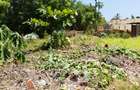 Land in Diani - 10