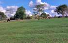 21 ac Land in Tigoni - 1