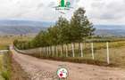 0.0430 ha Residential Land in Naivasha - 15
