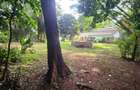 4 Bed House with Staff Quarters in Runda - 12