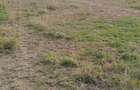 4.8 ac Commercial Property with Garden in Athi River - 9