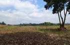 Land in Karen - 3