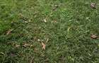Residential Land at Thika Superhighway - 2